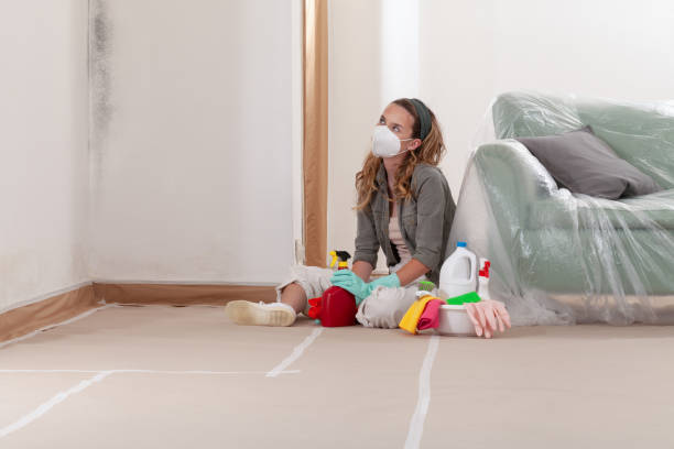 Reliable Commercial Mold Remediation contractor in Gloucester City, NJ by WQB Mold Removal